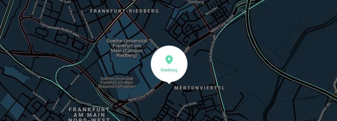 Frankfurt Map Neon Wood